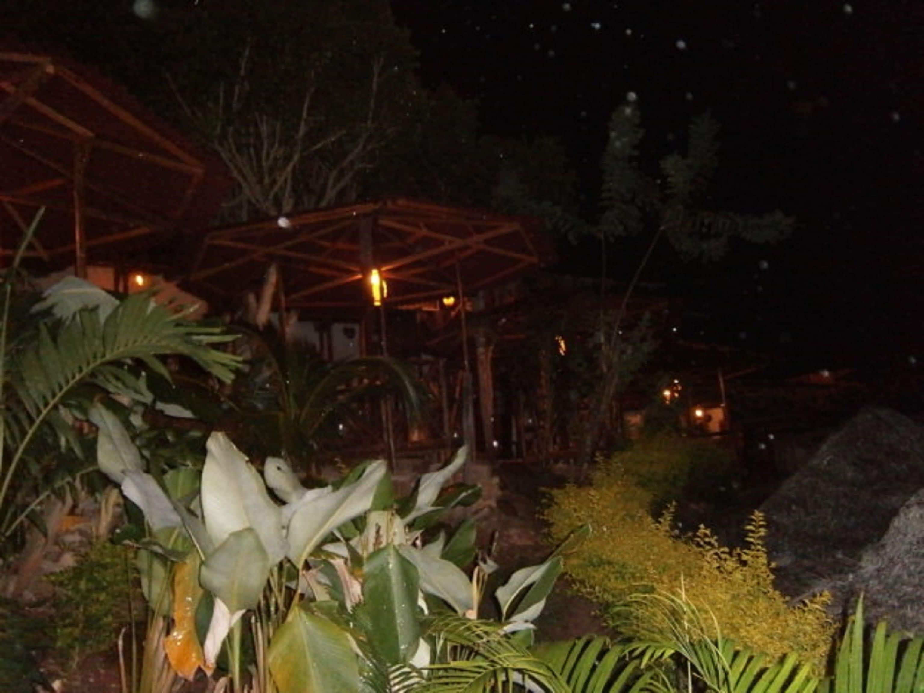 Photo - Madera Labrada Lodge Ecologico