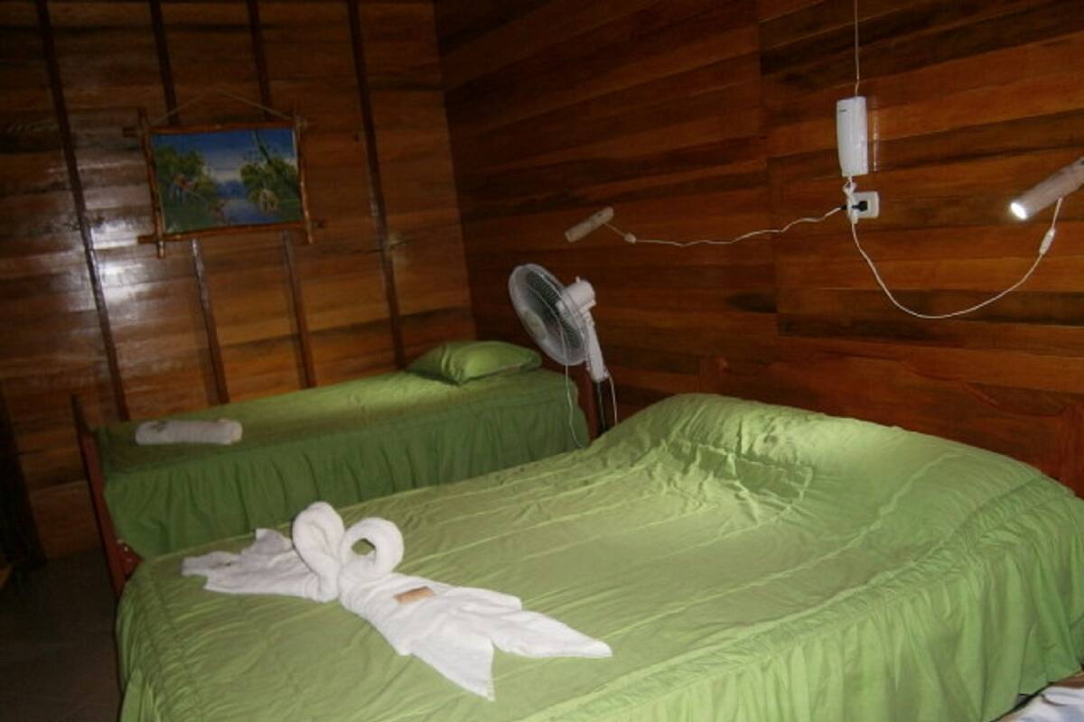 Una habitación con paredes de madera, dos camas con ropa de cama verde, un ventilador y un cuadro en la pared.