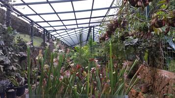Une serre abritant diverses plantes et fleurs, notamment de grandes plantes vertes et des plantes à fleurs aux couleurs rose et rouge.