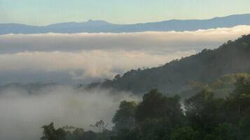 Paisaje montañoso con una capa de niebla o nubes entre el bosque y las cimas de las montañas.