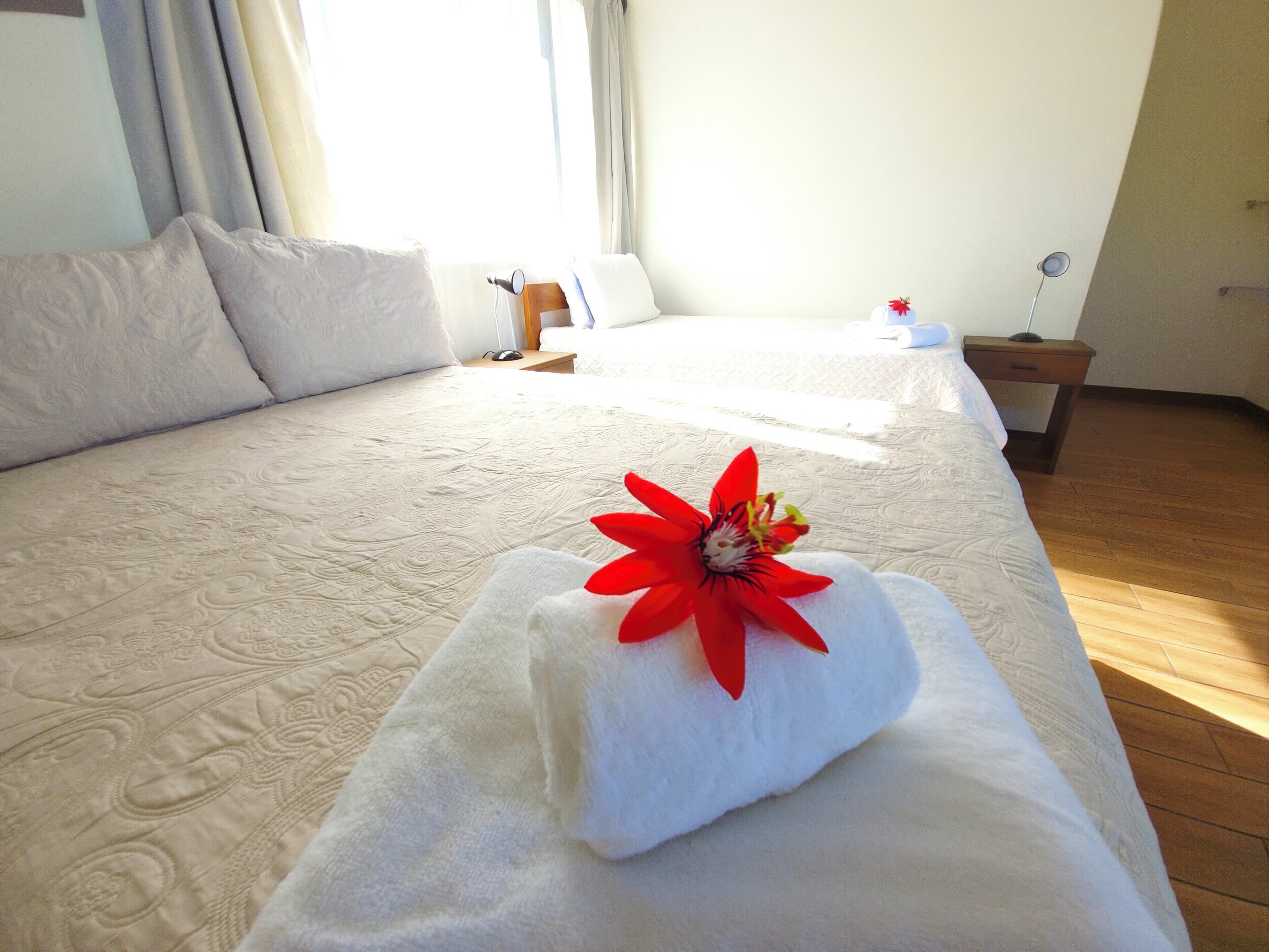 standard double or twin room, garden view | 1 bedroom, desk, free wifi, bed sheets