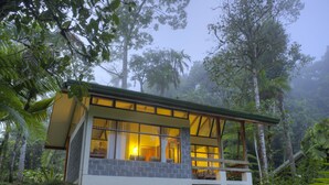 Una casa moderna con ampie finestre, immersa nel verde e circondata da alberi alti.
