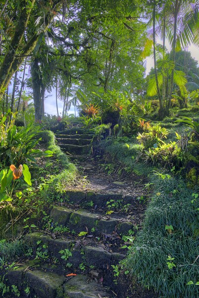 Las Cruces Biological Station