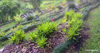 Las Cruces Biological Station
