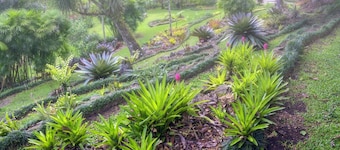 Las Cruces Biological Station