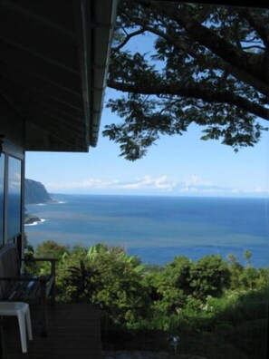 View from property - Hale Kukui Orchard & Cottages (Honokaa)