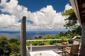 View from property - Hale Kukui Orchard & Cottages (Honokaa)