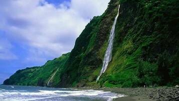 Pemandangan dari properti