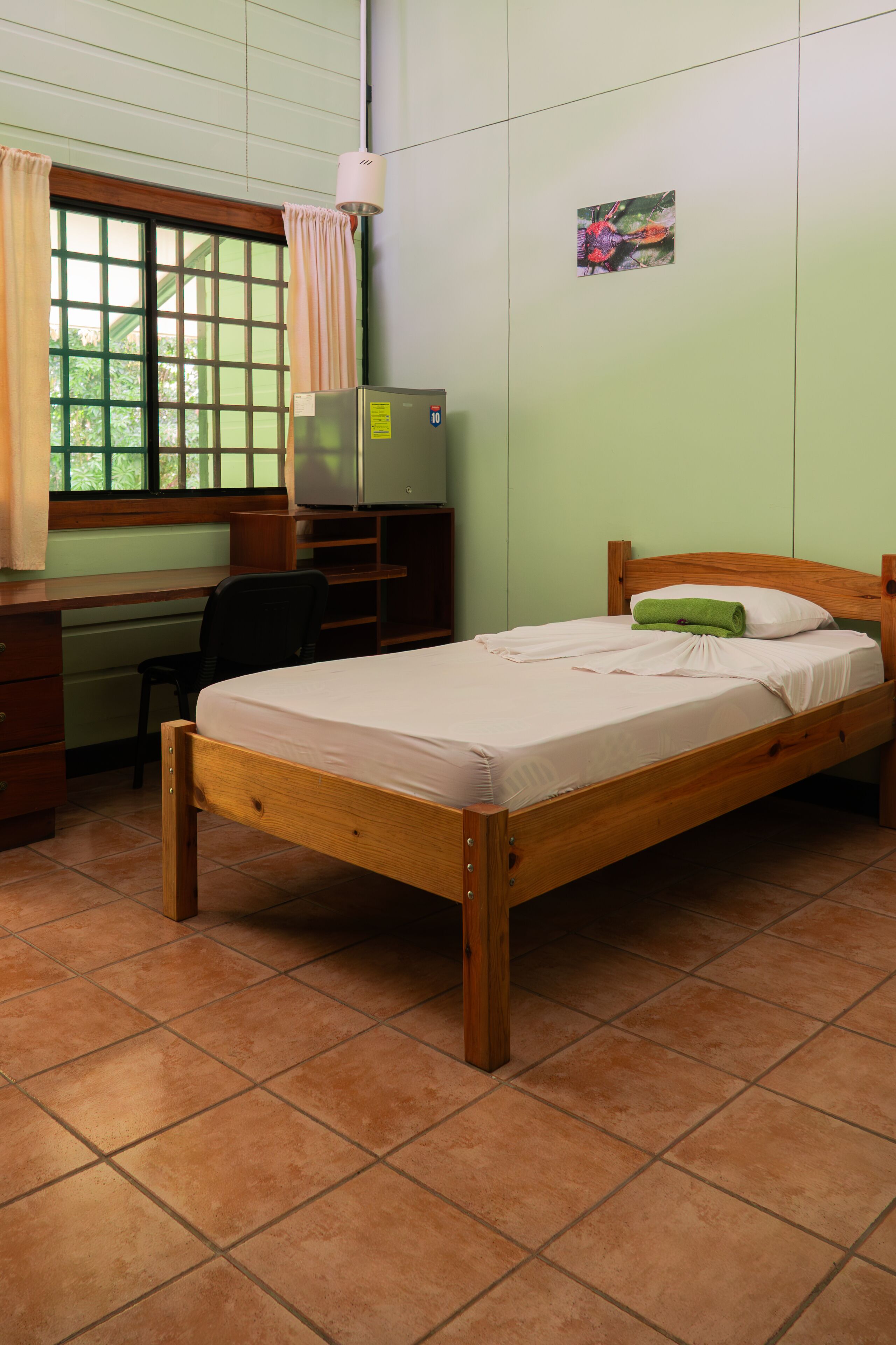 A room with a wooden bed, a desk with a chair, a television, and a window with curtains.