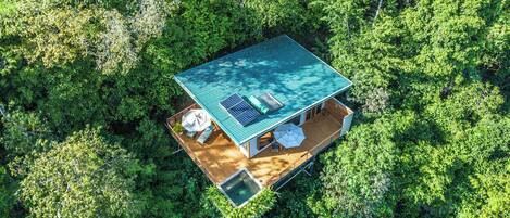 A square-shaped building with a green roof, surrounded by dense green foliage.