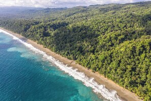 Beach nearby, free beach shuttle, beach towels - El Remanso Rainforest Lodge (Puerto Jiménez)