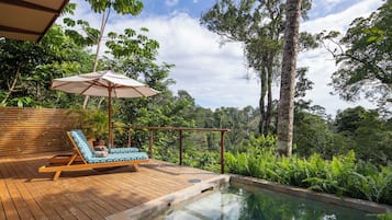 Deluxe Villa w/ Plunge Pool | Uitzicht op strand/zee