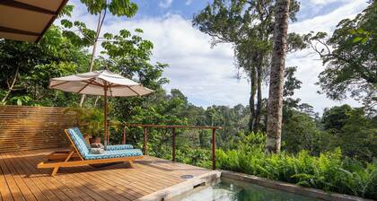 El Remanso Rainforest Lodge