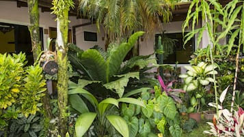 A lush indoor garden with various tropical plants and a wooden structure.