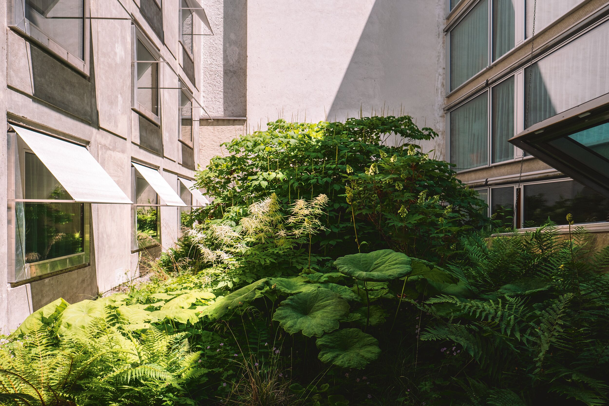 Un bâtiment doté de grandes fenêtres, d’une façade en béton et d’une végétation luxuriante comprenant des fougères et des plantes à grandes feuilles.