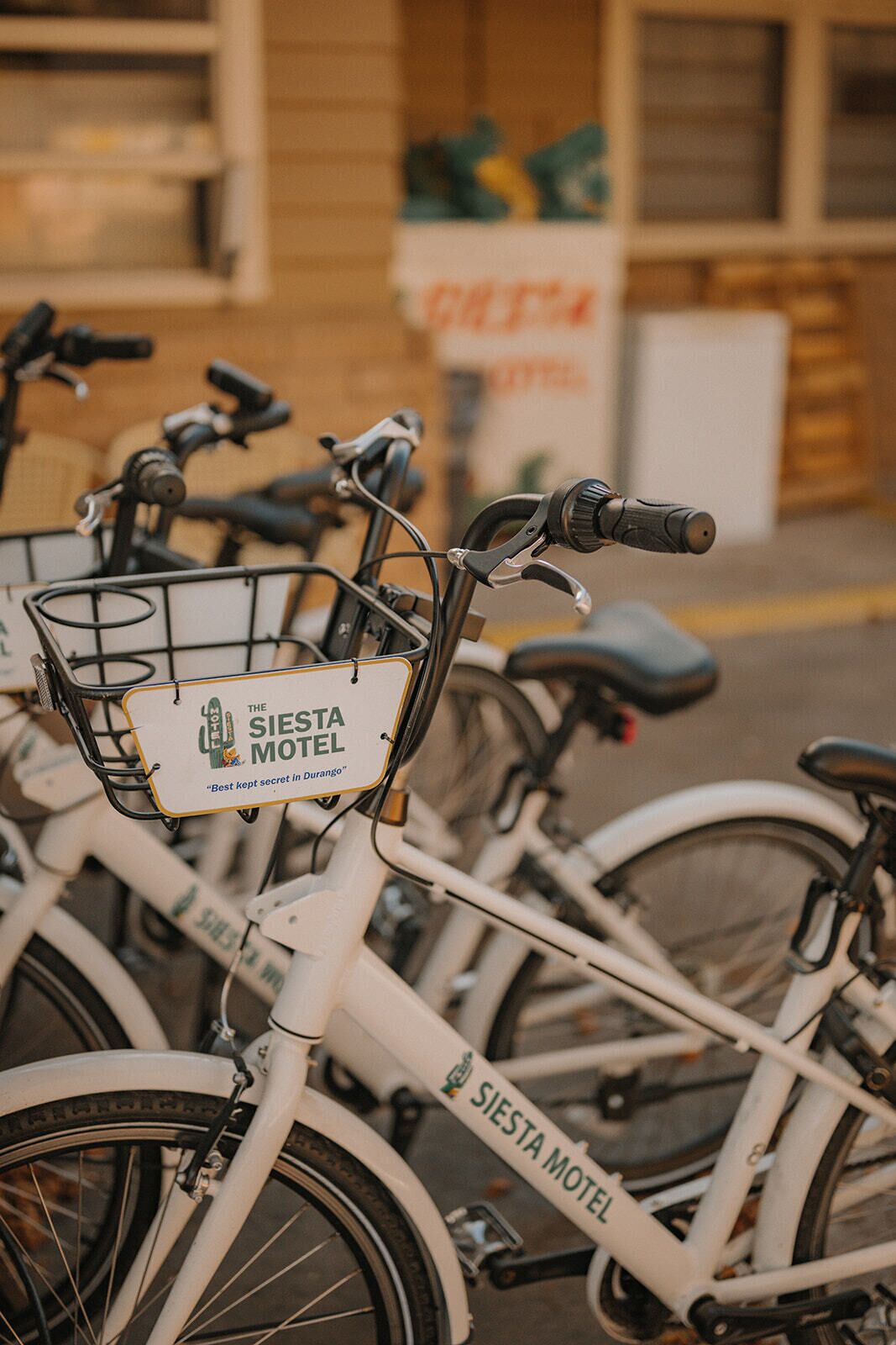 A row of bicycles parked outside a building with a sign reading "SIESTA MOTEL".
