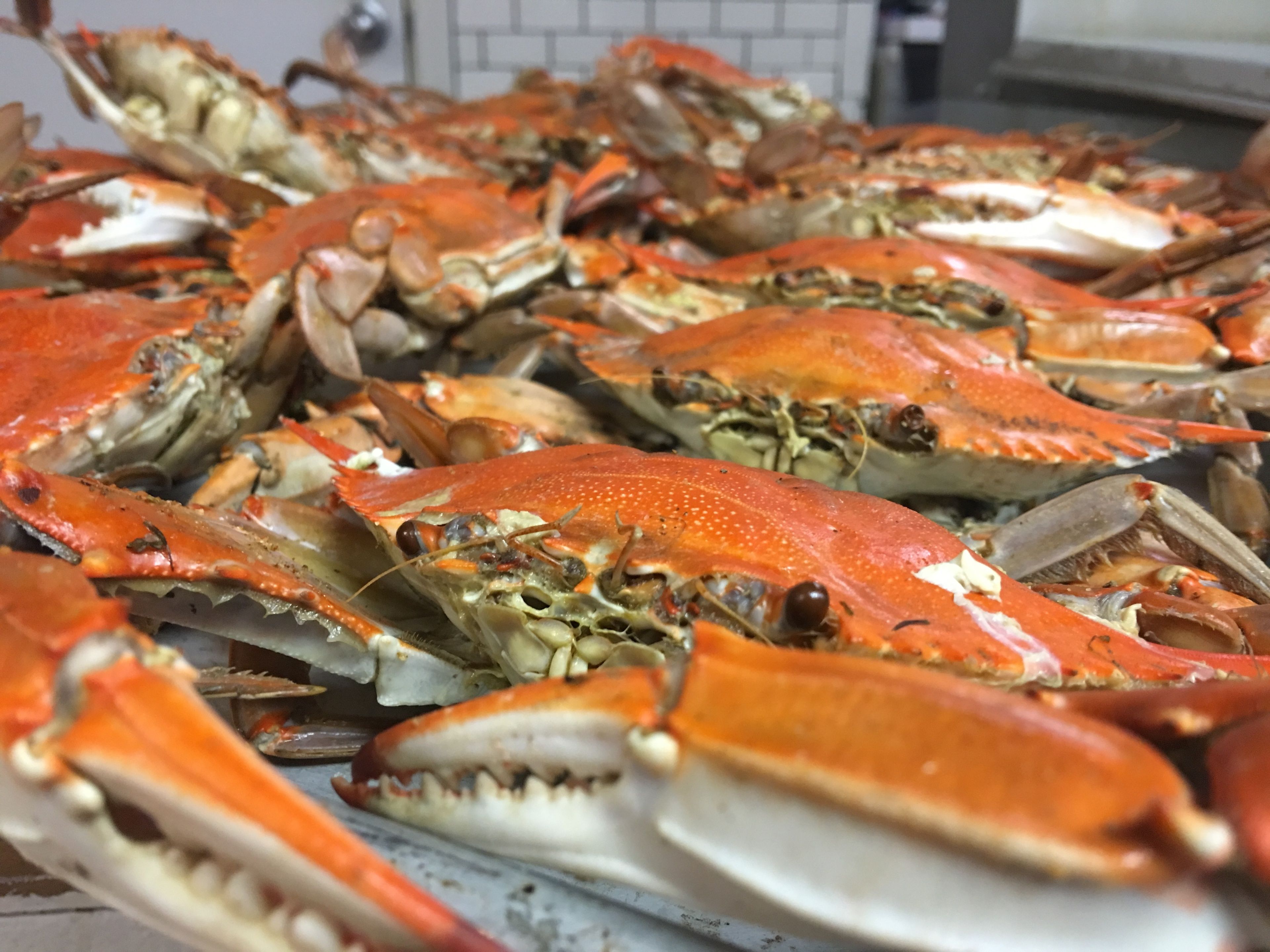 A large number of cooked crabs displayed on a tray.