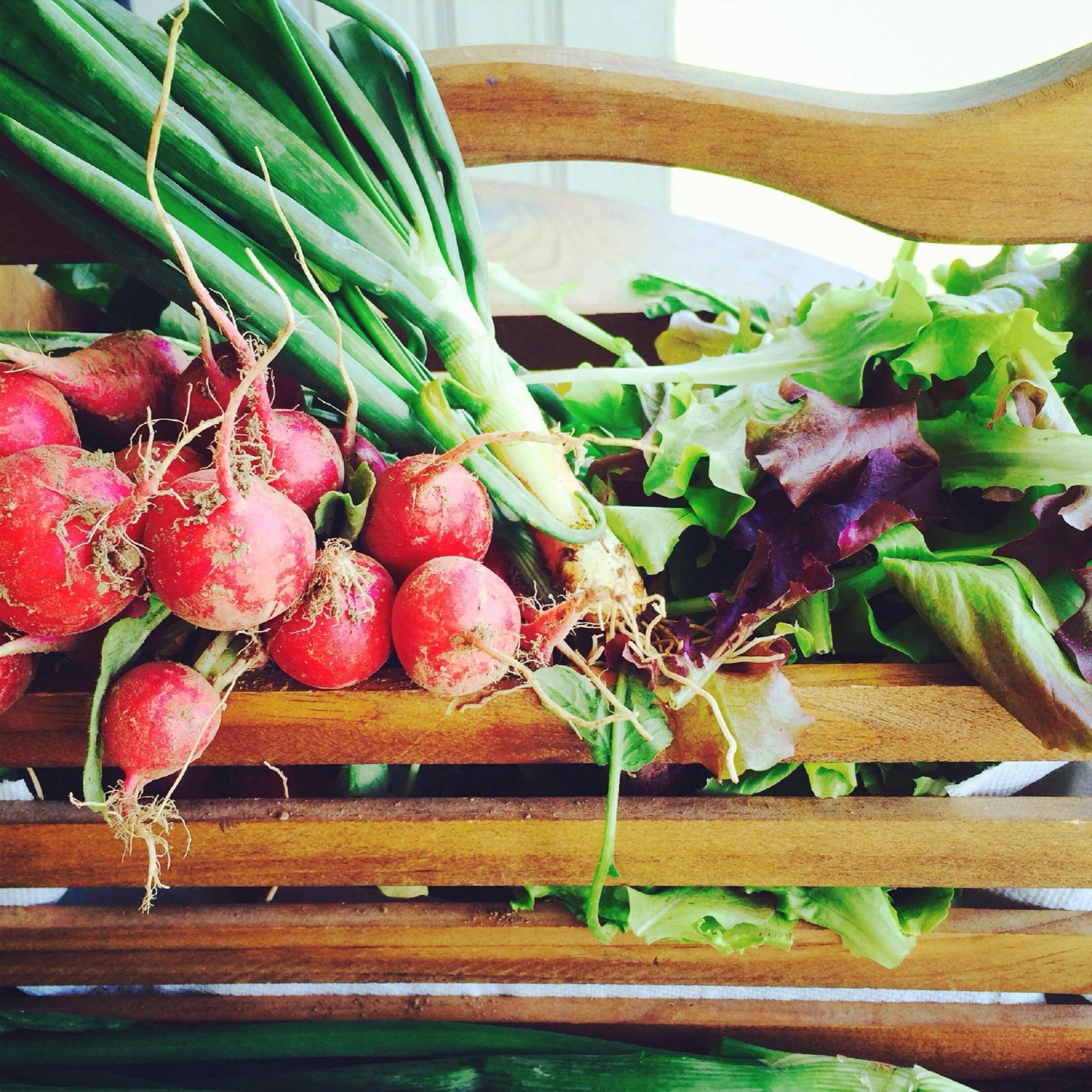 Un banco de madera con verduras frescas, incluyendo rábanos y hojas verdes.