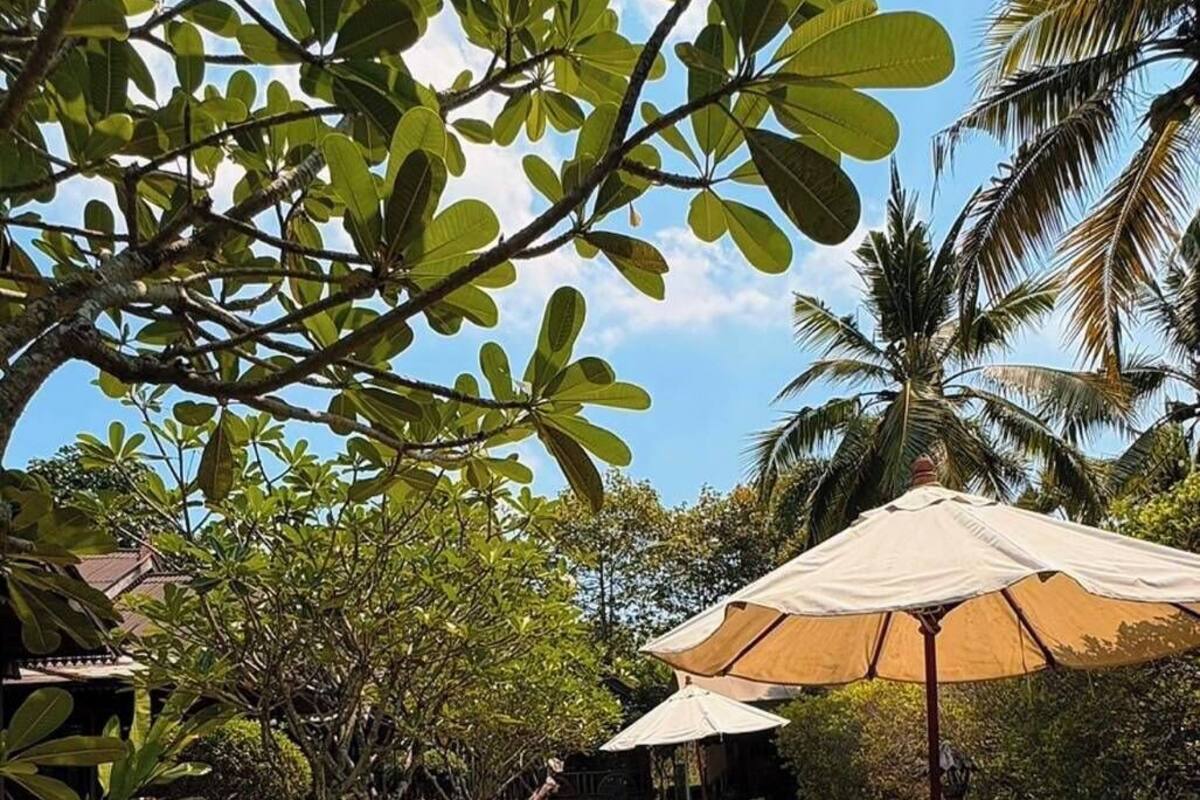 An outdoor seating area with concrete tables and benches, surrounded by lush greenery and palm trees.