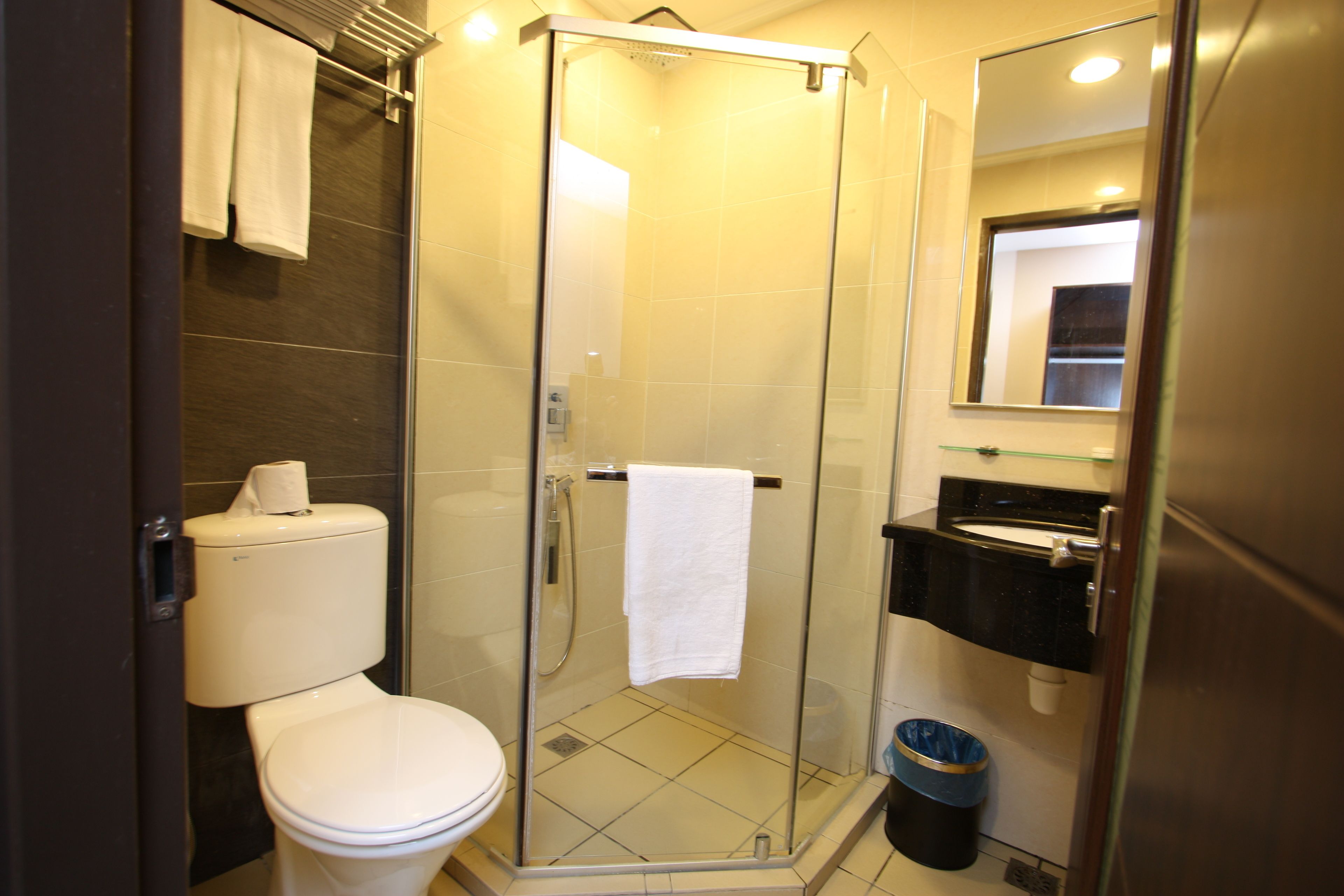 Shower, bidet, towels