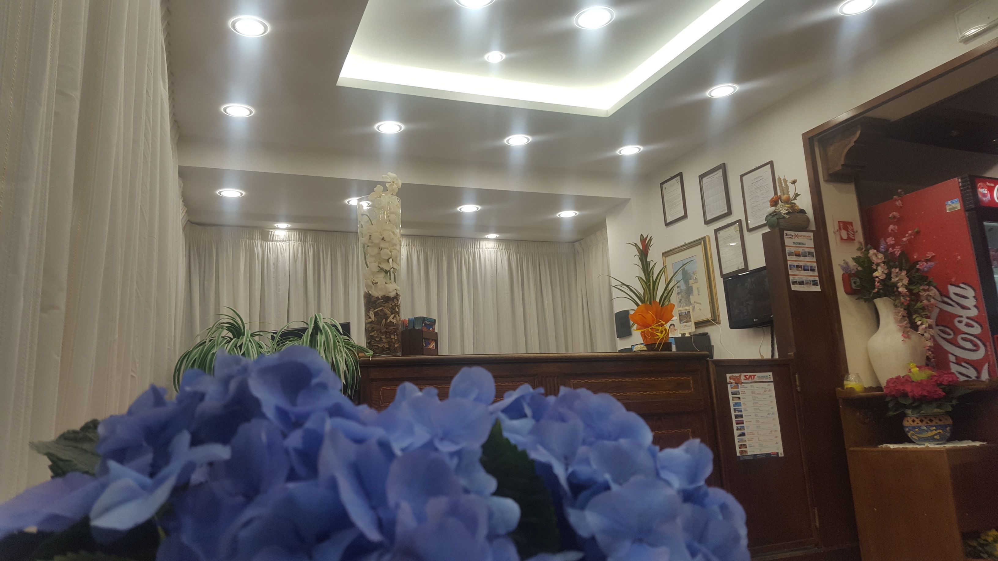 Foto - Hotel Soleado