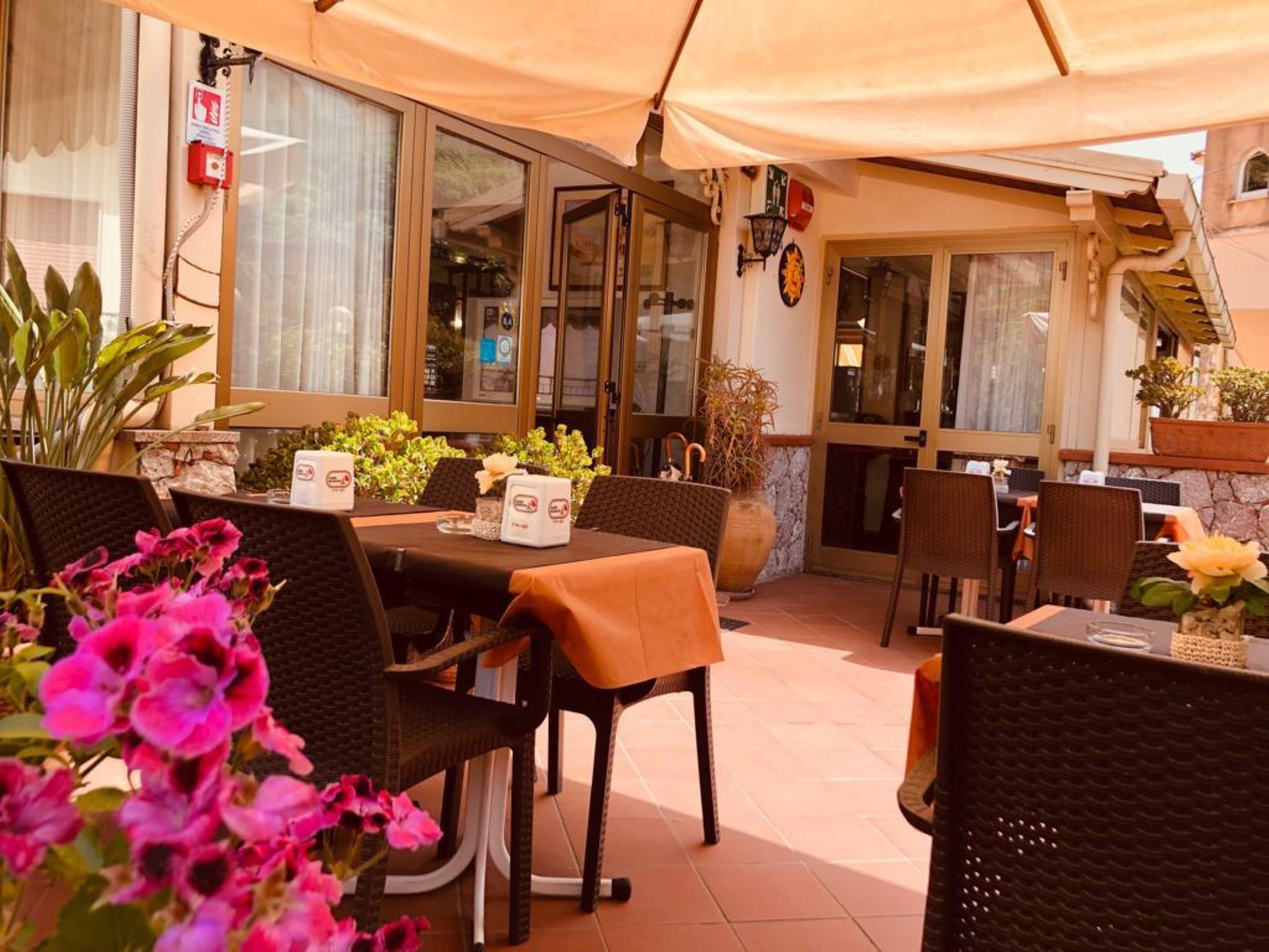 Foto - Hotel Soleado