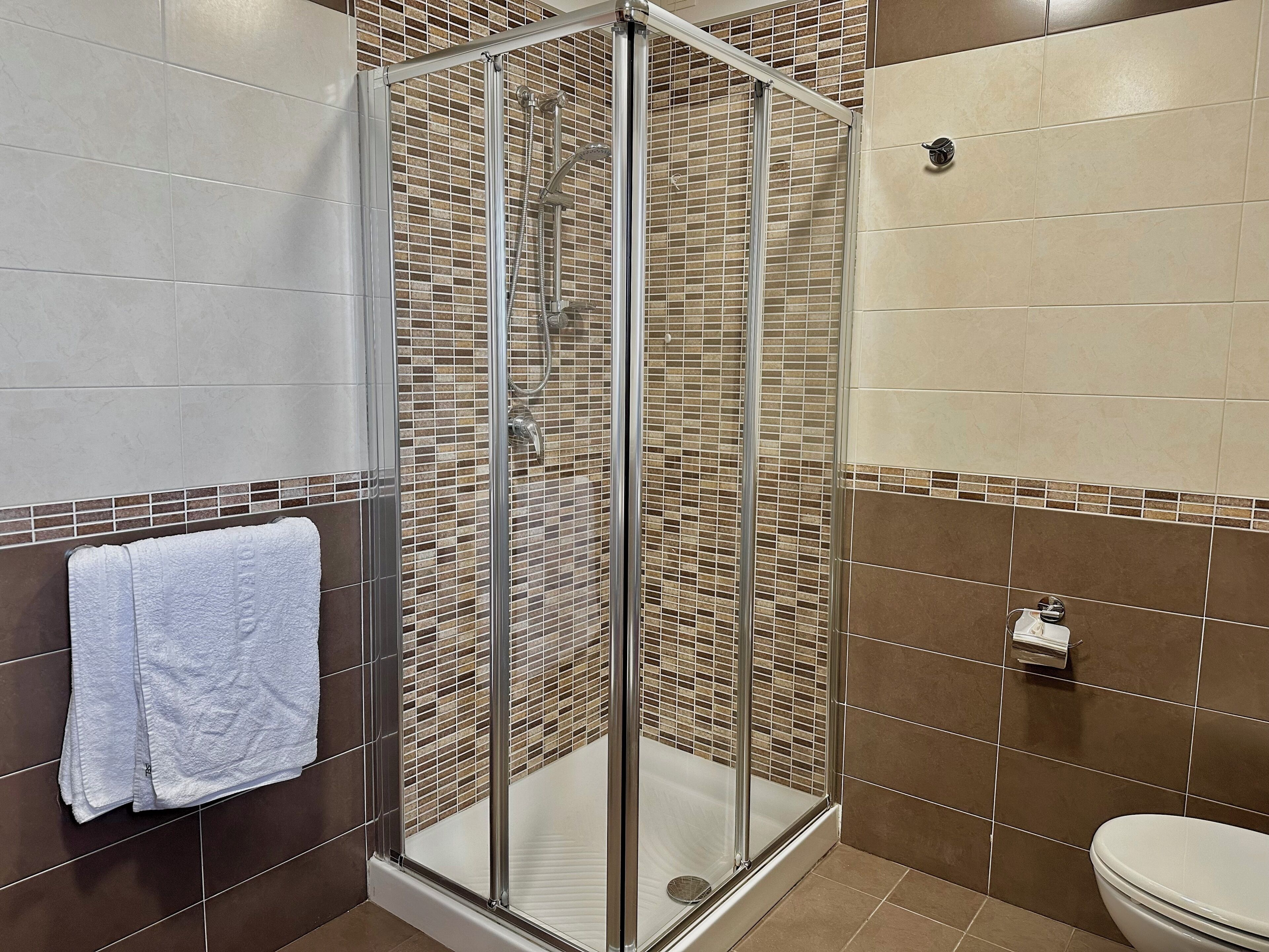 Ducha con puerta de vidrio, inodoro y toallero con una toalla blanca.
