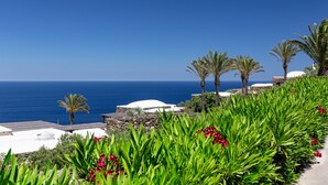 A coastal resort with a view of the sea, palm trees, and a pathway lined with greenery.