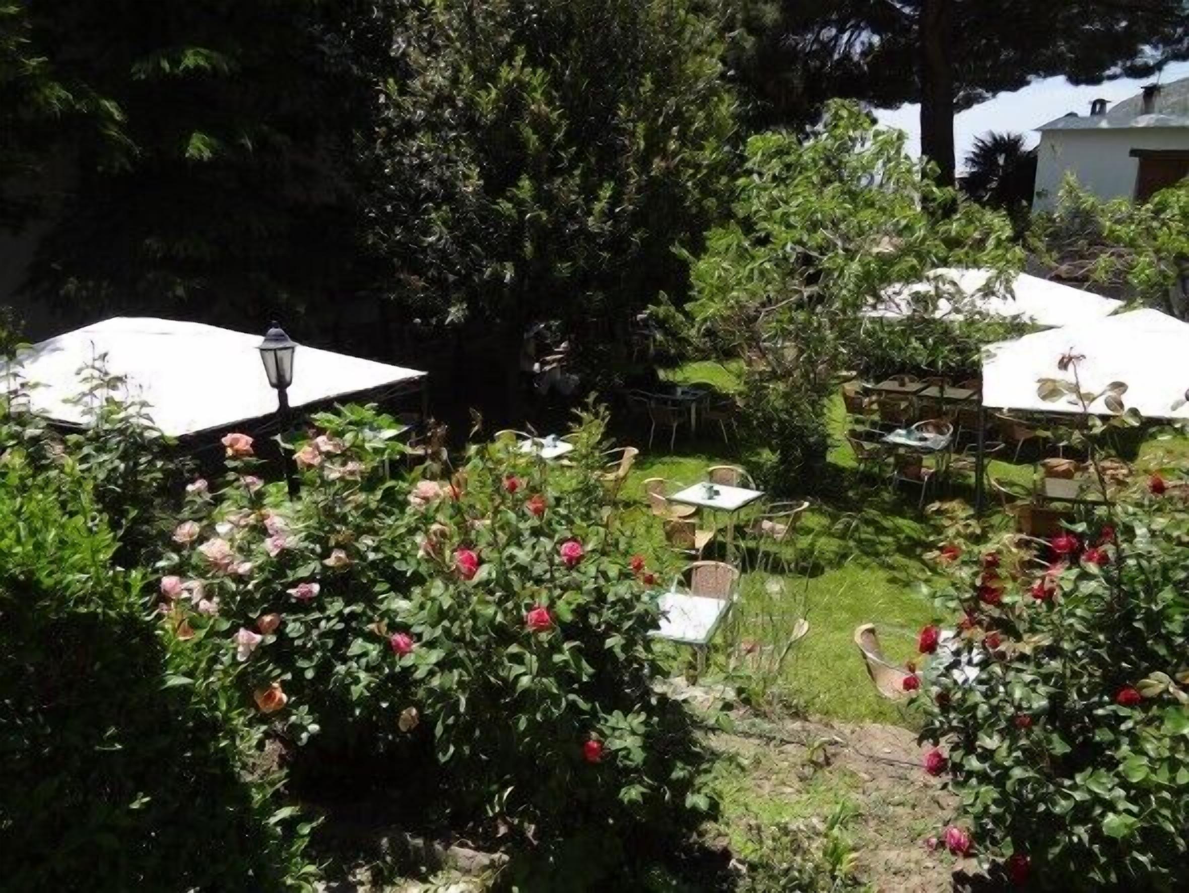 A garden patio area with tables and chairs under white umbrellas, surrounded by lush greenery and flowering plants.