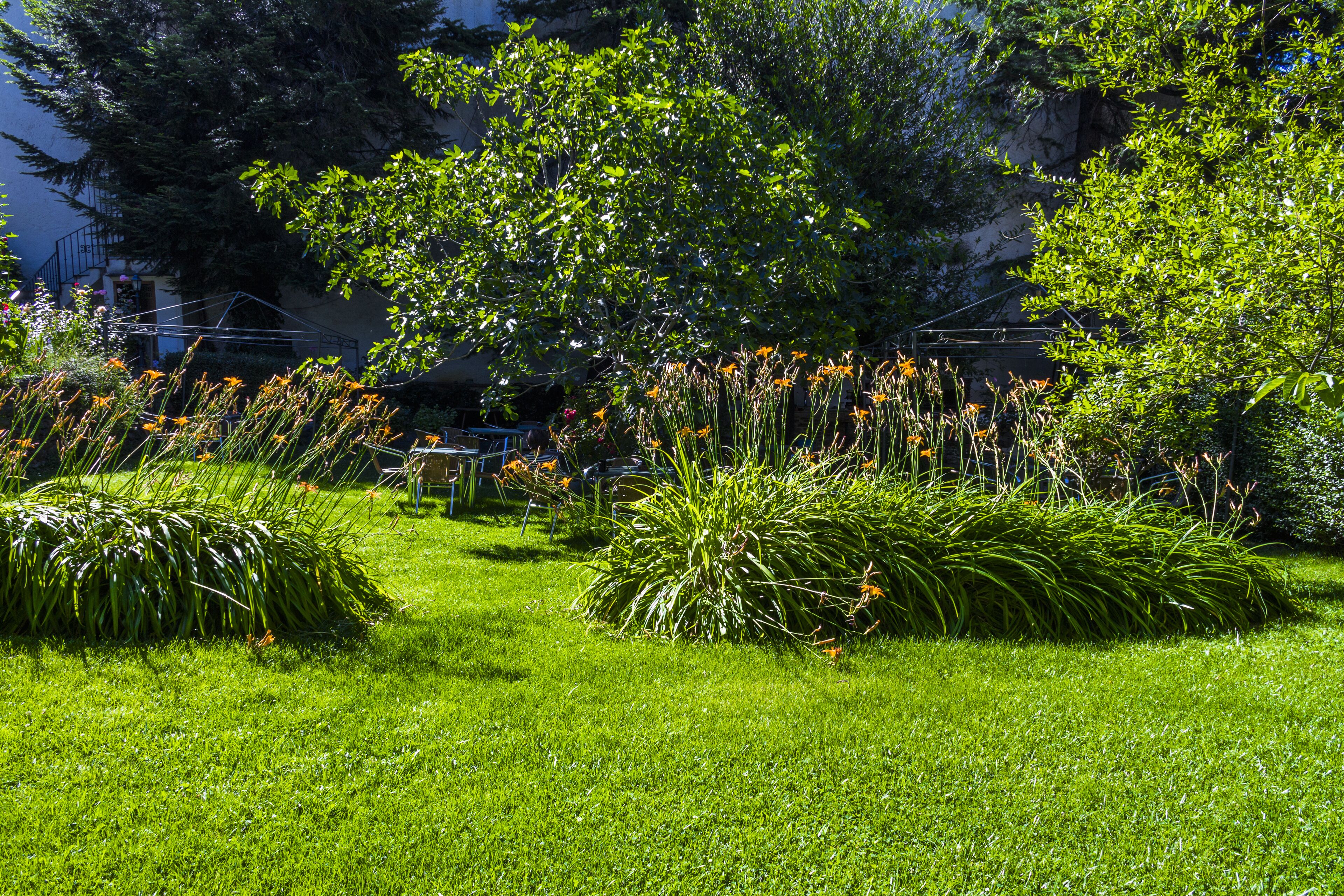 Tuin