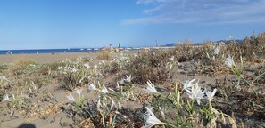 靠近海滩、5 间海滩酒吧