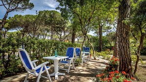 Un espace extérieur aménagé avec des tables blanches et des chaises bleues, entouré d’arbres et de plantes en pot.