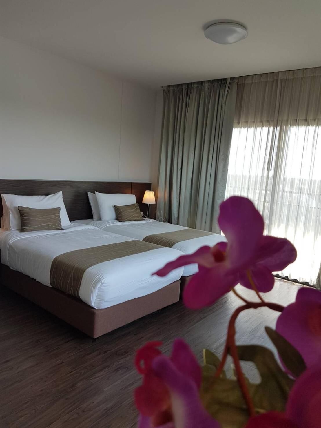 Habitación de hotel con una cama grande, una lámpara de noche y vistas al exterior a través de una ventana con cortinas.