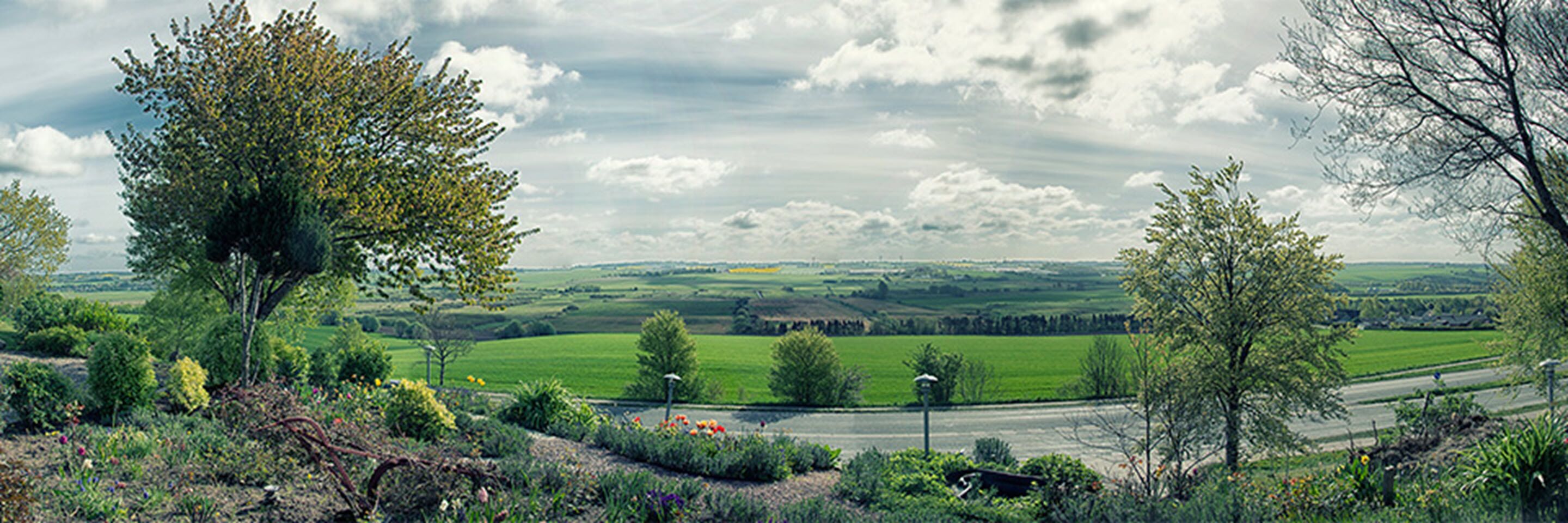 A rural landscape with rolling green fields, a winding road, and scattered trees.
