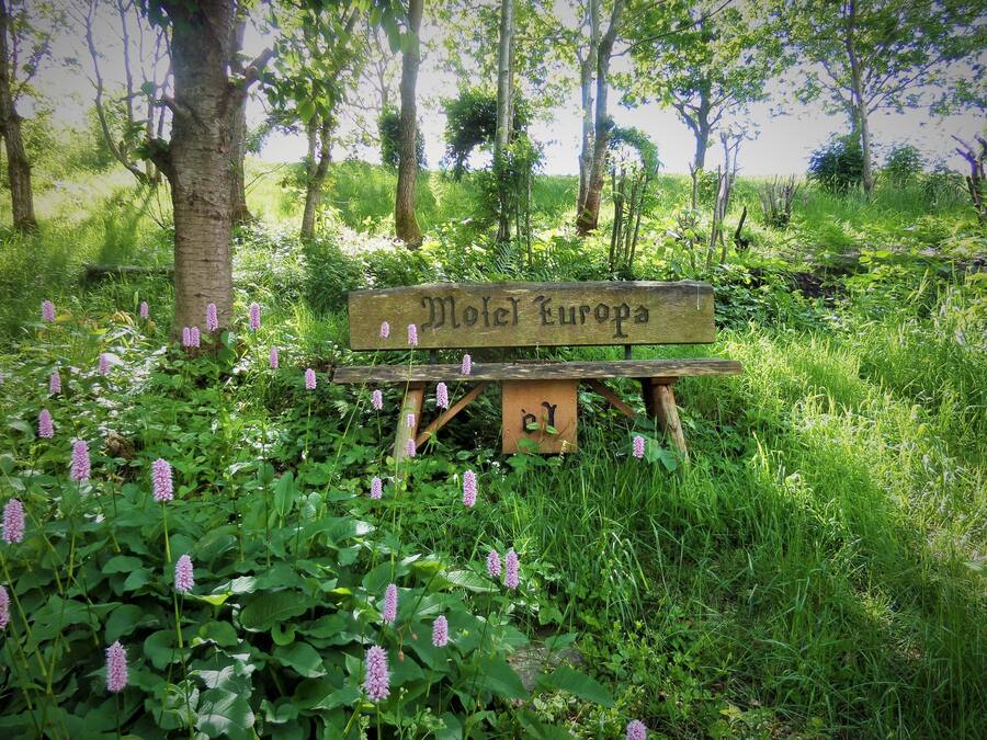 A wooden bench with a sign that reads "Motel Europa" surrounded by lush greenery and purple flowers.