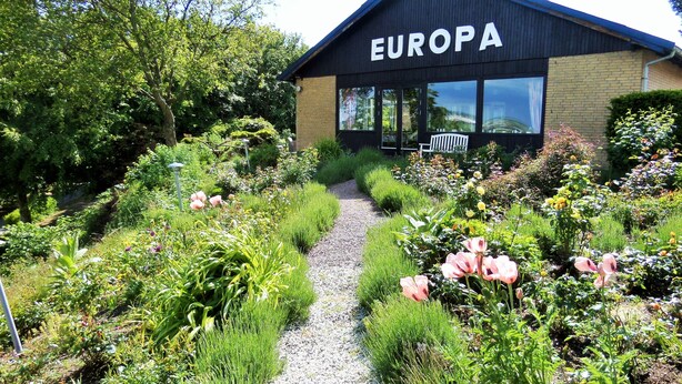 A building labeled "EUROPA" with a gravel path leading to the entrance, surrounded by lush gardens and various plants. - Motel Europa (Svenstrup)