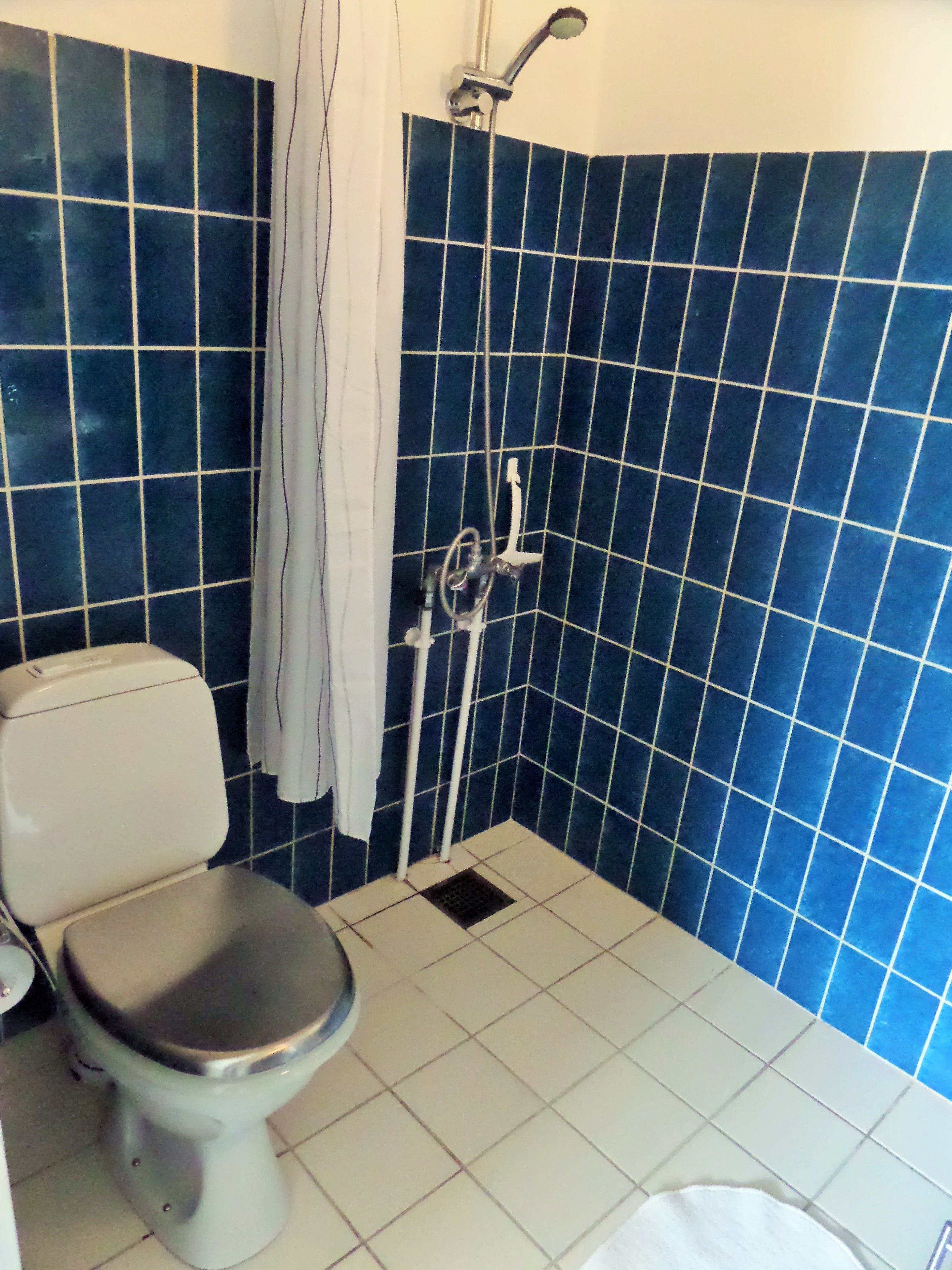 Een badkamer met een toilet, een douche met een handdouche en blauwe wandtegels.