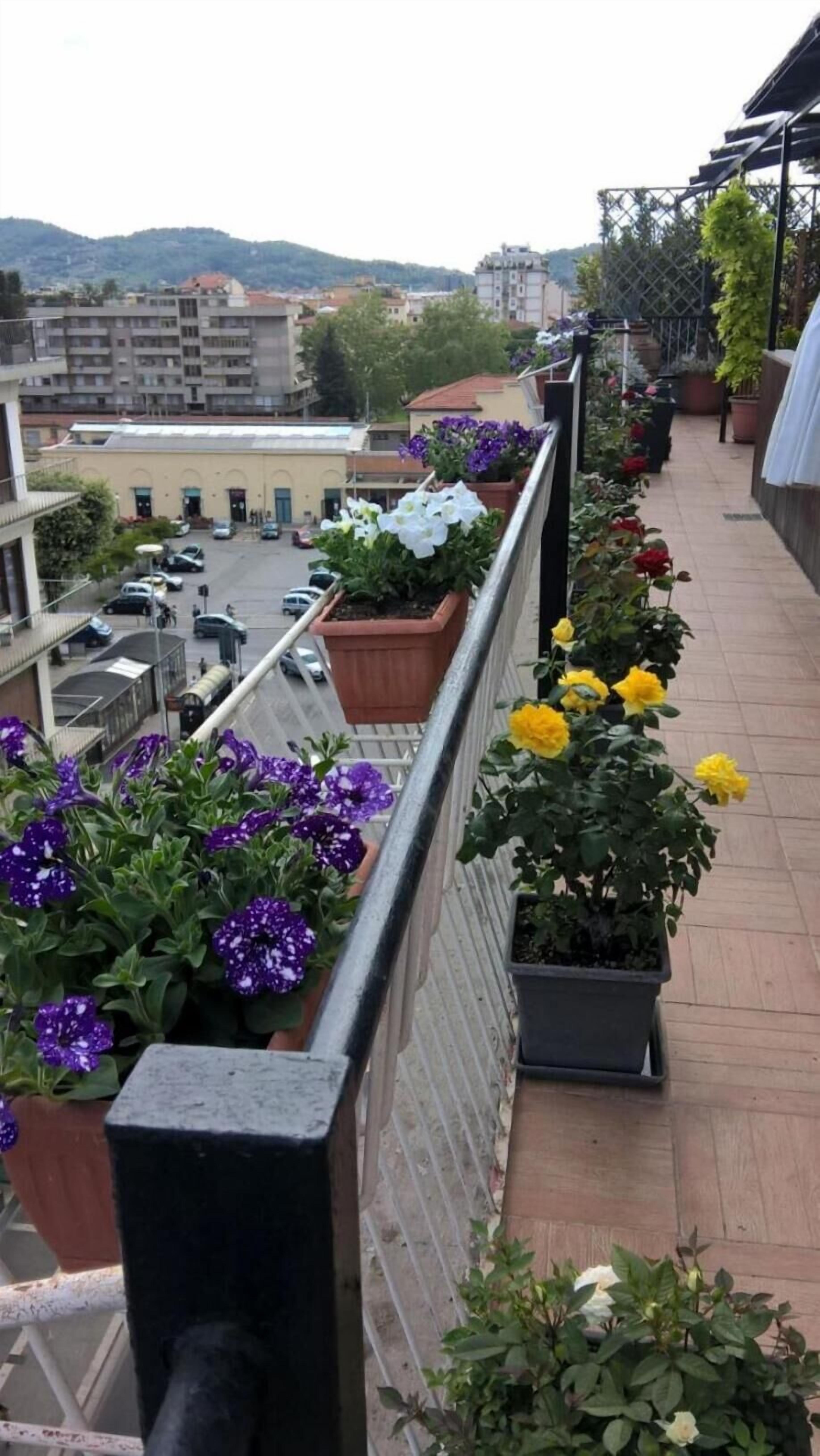 Un balcón con macetas y flores, con vista a una calle con coches y edificios.