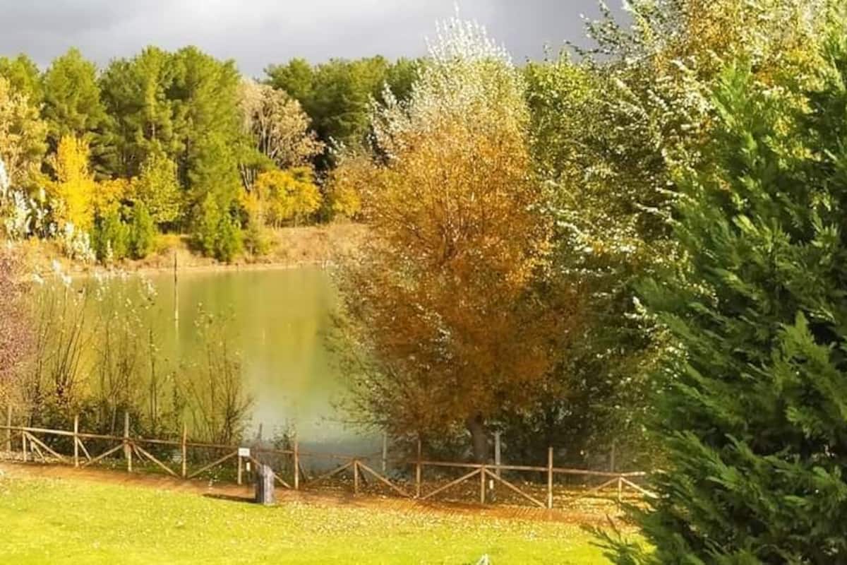 Lake view