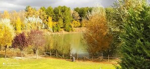 Lake view - Cameracaffè sul Lago (Arezzo)