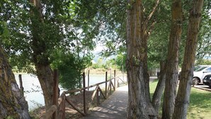 A wooden boardwalk leading to a body of water, surrounded by trees. - Cameracaffè sul Lago (Arezzo)