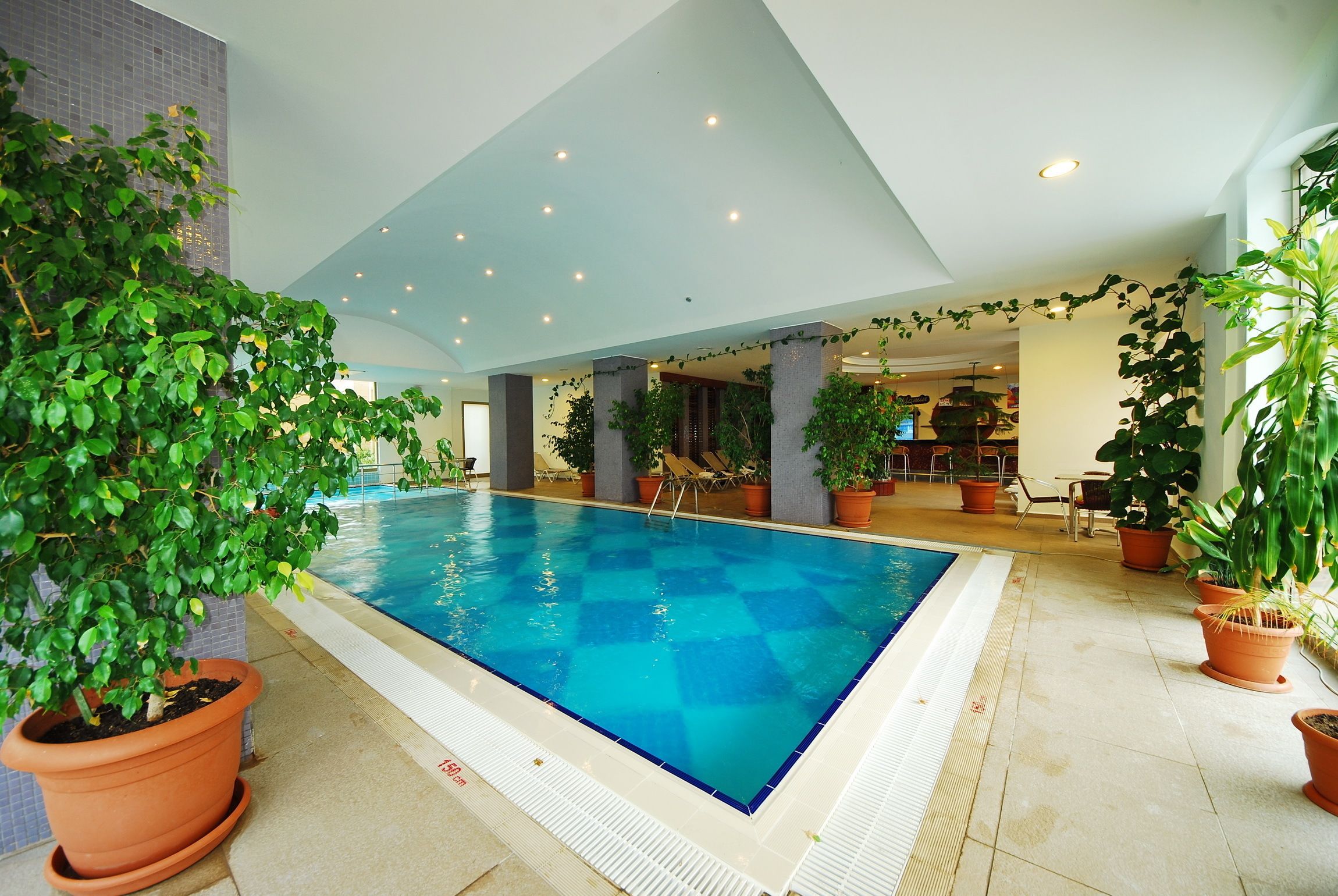 An indoor swimming pool with tiled walls and ceiling, surrounded by potted plants and a seating area.