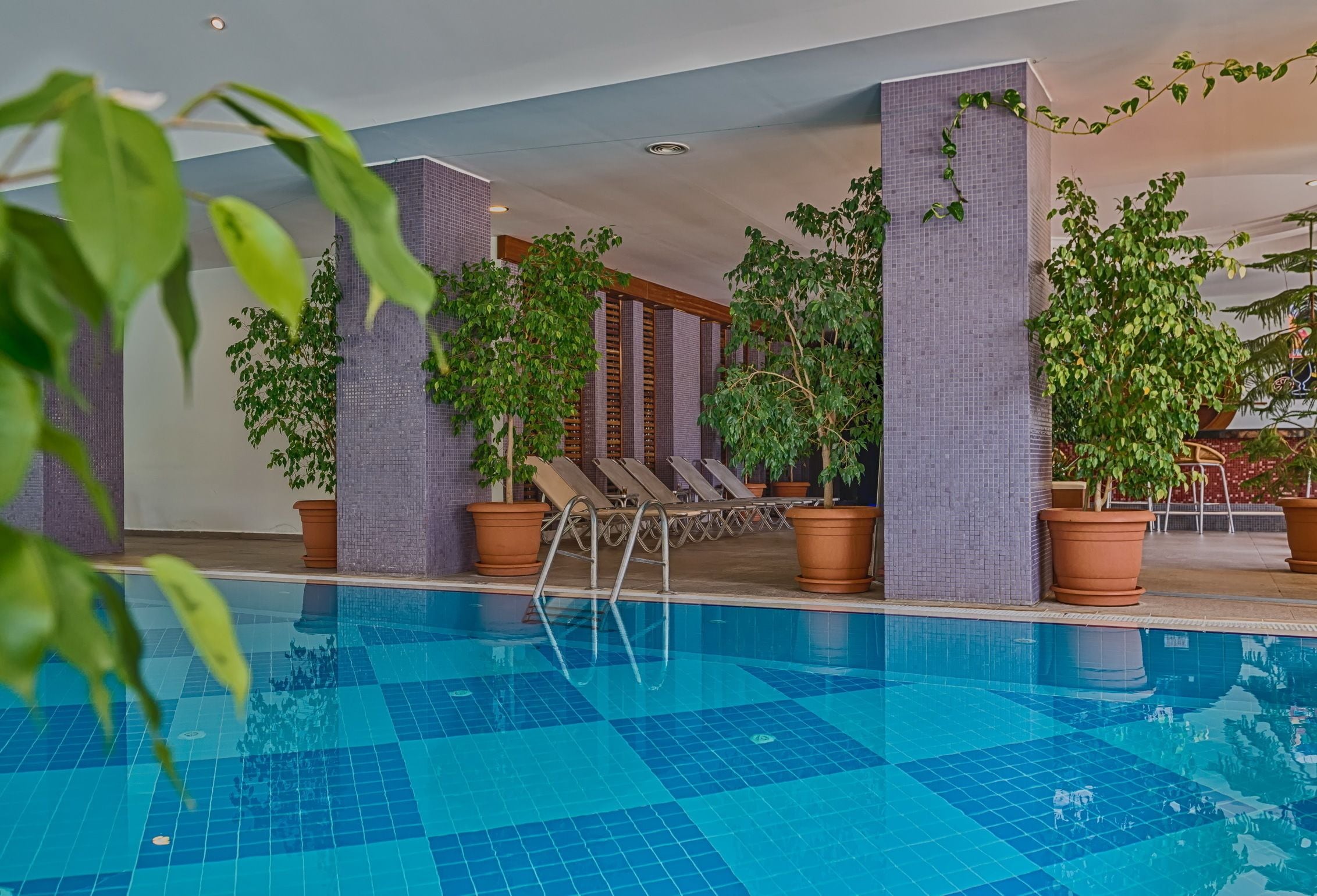 An indoor swimming pool with tiled flooring, surrounded by potted plants and lounge chairs.