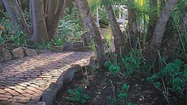 A pathway surrounded by tall palm trees with sunlight filtering through. - Yellowwood Lodge - Adults Only (Knysna)