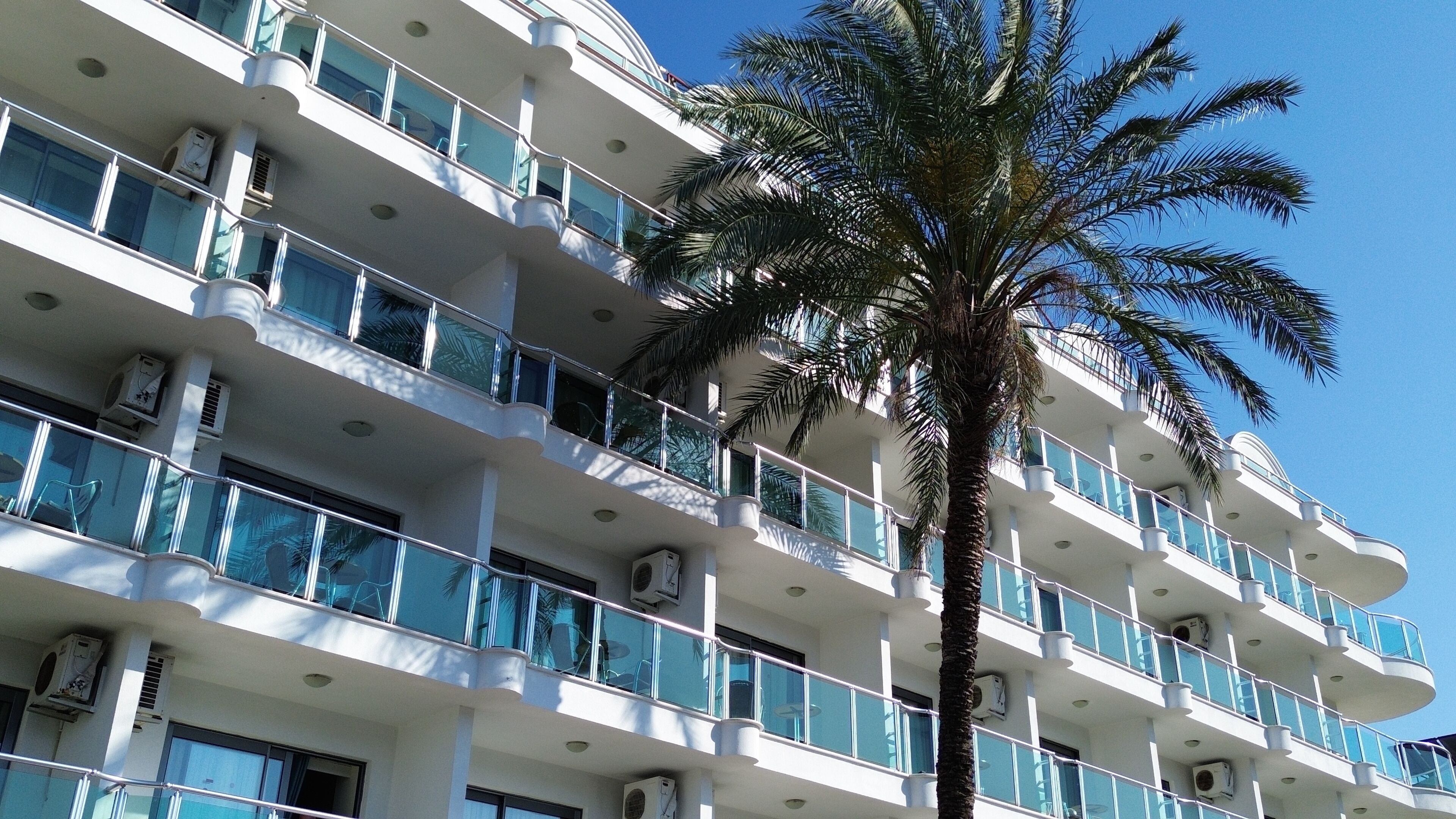 A multi-story hotel with balconies, air conditioning units, and a palm tree.