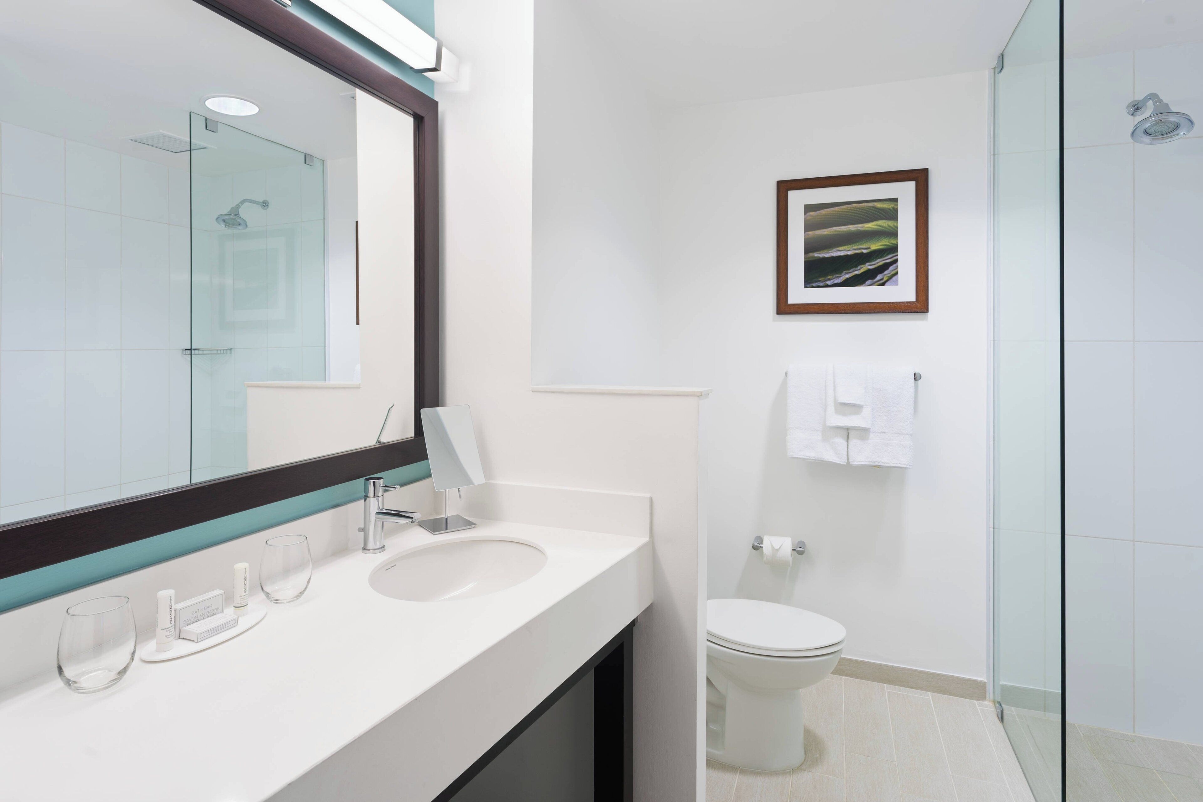 combined shower/bathtub, free toiletries, hair dryer, towels