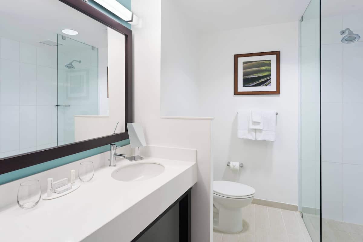 combined shower/bathtub, free toiletries, hair dryer, towels