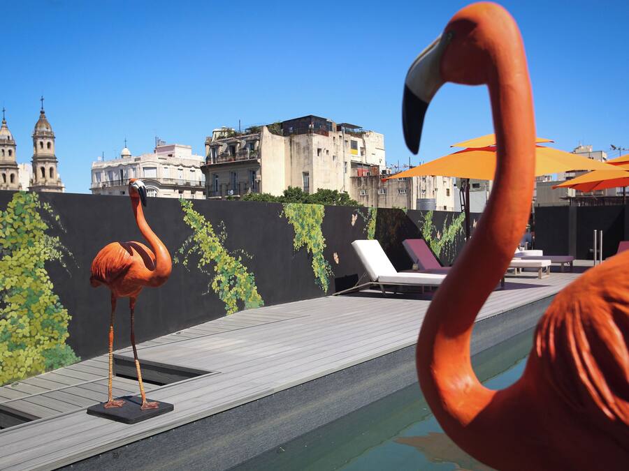 Seasonal outdoor pool, pool umbrellas, sun loungers