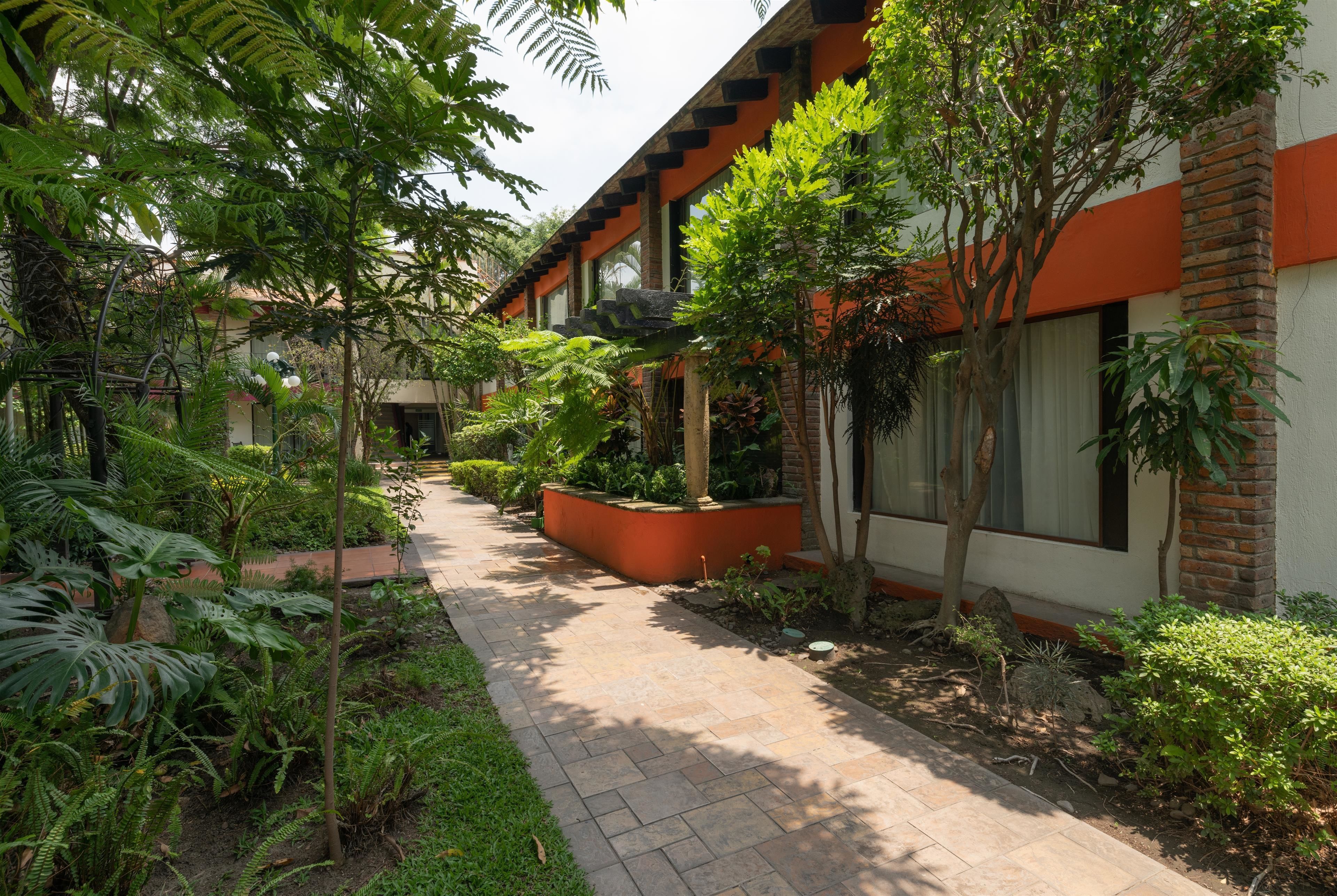 A pathway flanked by lush greenery and a building with brick and orange accents.
