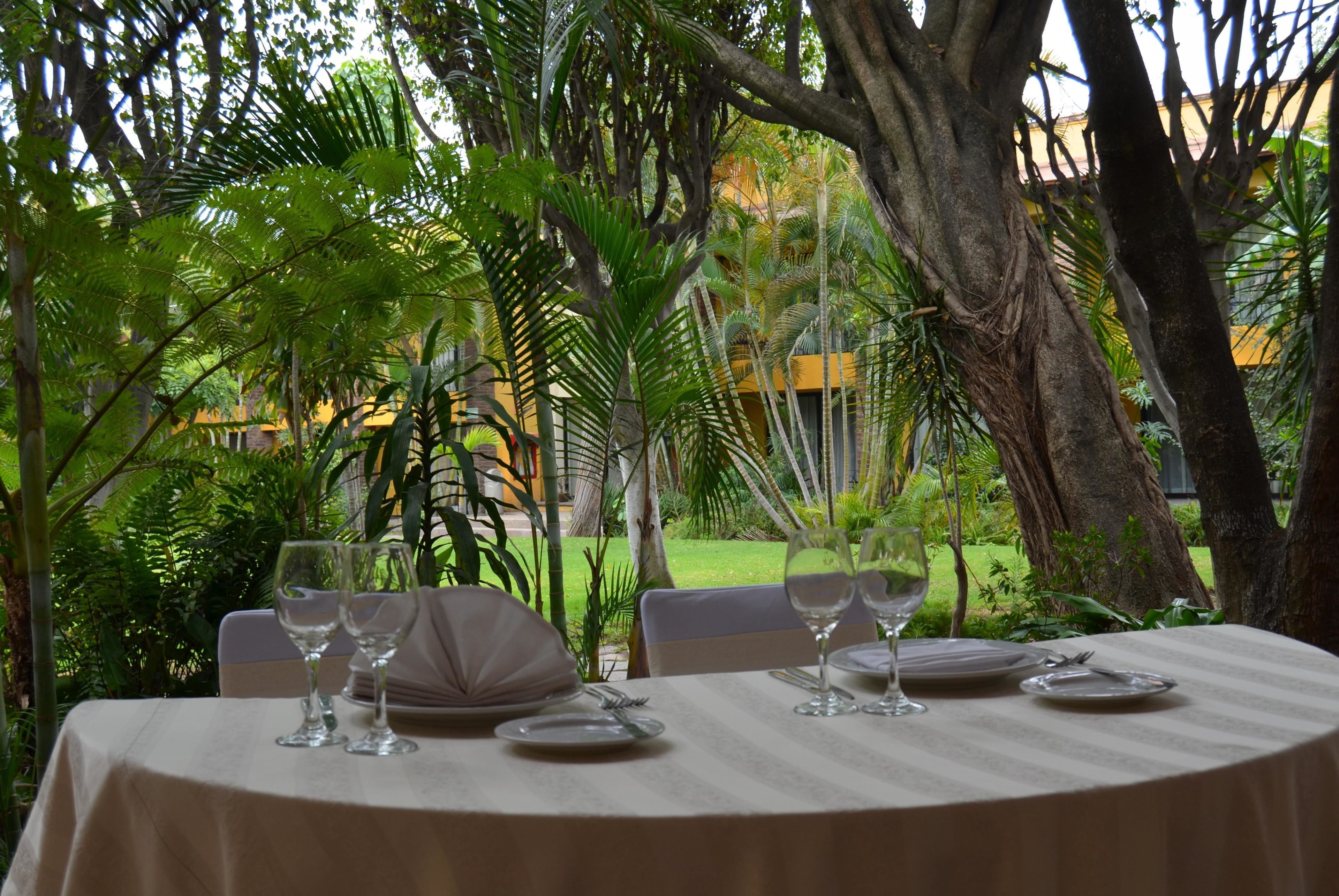 Foto - Wyndham Garden Guadalajara Expo Plaza del Sol